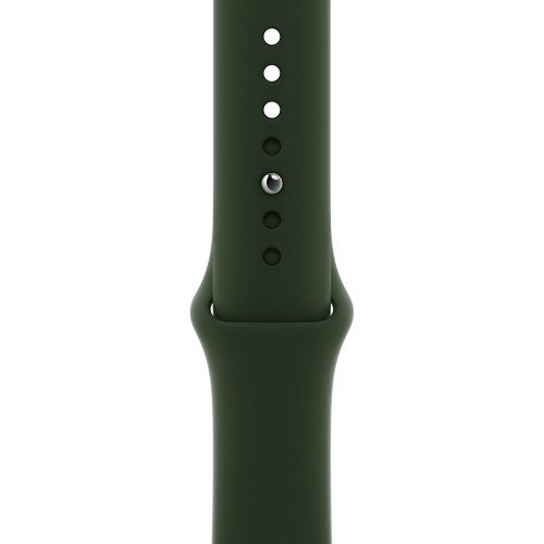 Apple Watch 42/44mm Sport Band Cyprus Green (MG433)