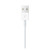 Apple Watch Magnetic Charging Cable 1m (MKLG2, MU9G2)