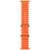 Apple Watch Ultra 2 GPS + Cellular 49mm Titanium Case with Orange Ocean Band (MREH3)