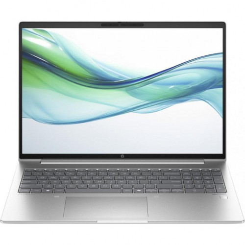 HP ProBook 465 G11 Pike Silver (901H6AV_V3)