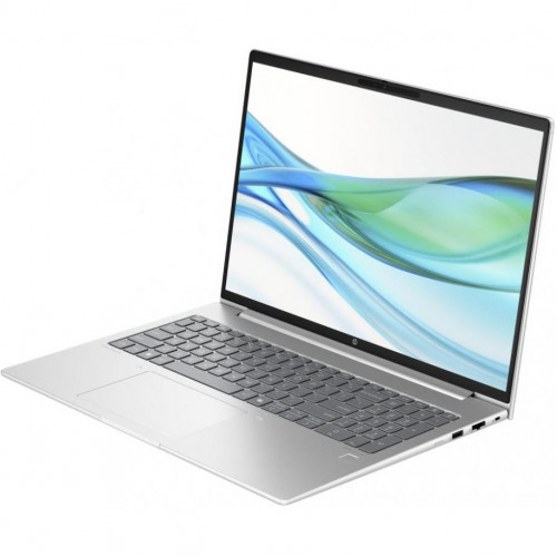 HP ProBook 465 G11 Pike Silver (901H6AV_V3)
