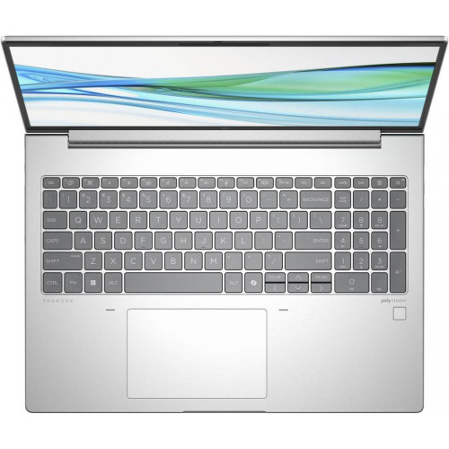 HP ProBook 465 G11 Pike Silver (901H6AV_V3)