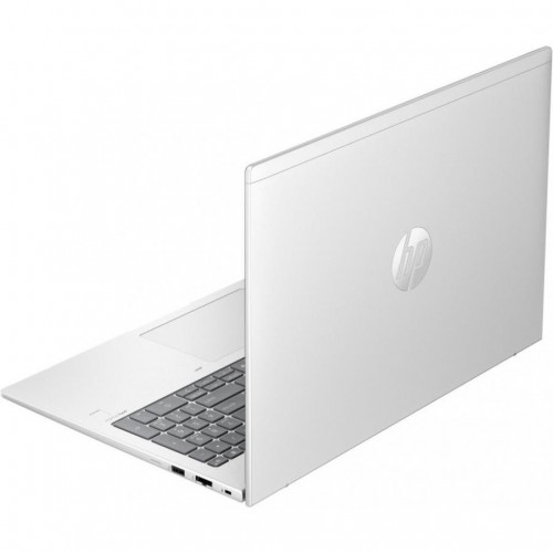HP ProBook 465 G11 Pike Silver (901H6AV_V4)