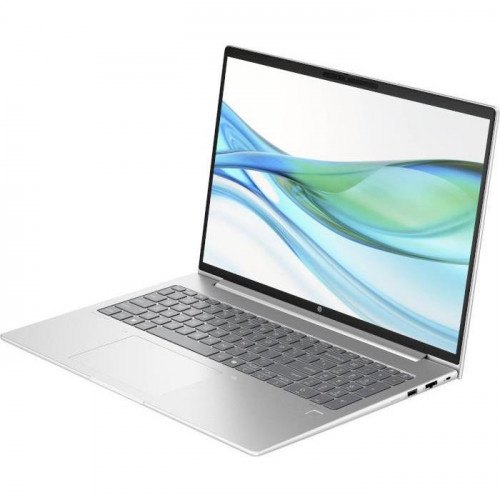 HP ProBook 465 G11 Pike Silver (901H2AV_V2)