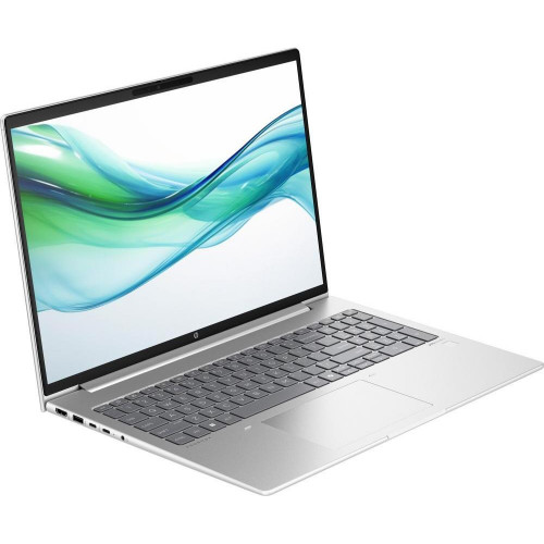 HP ProBook 460 G11 Silver (8Z677AV_V2)