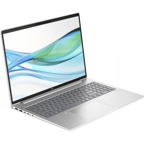 HP ProBook 465 G11 Pike Silver (901H4AV_V2)