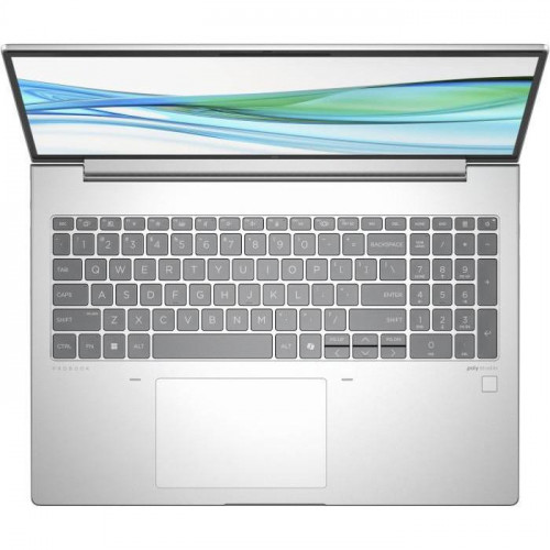 HP ProBook 465 G11 Pike Silver (901H4AV_V2)
