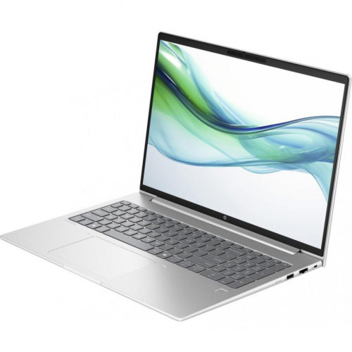 HP ProBook 460 G11 Pike Silver (8Z675AV_V4)