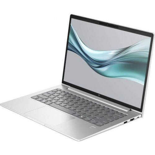 HP EliteBook 645 G11 Silver (8Z3N3AV_V2)