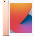 iPad 10.2